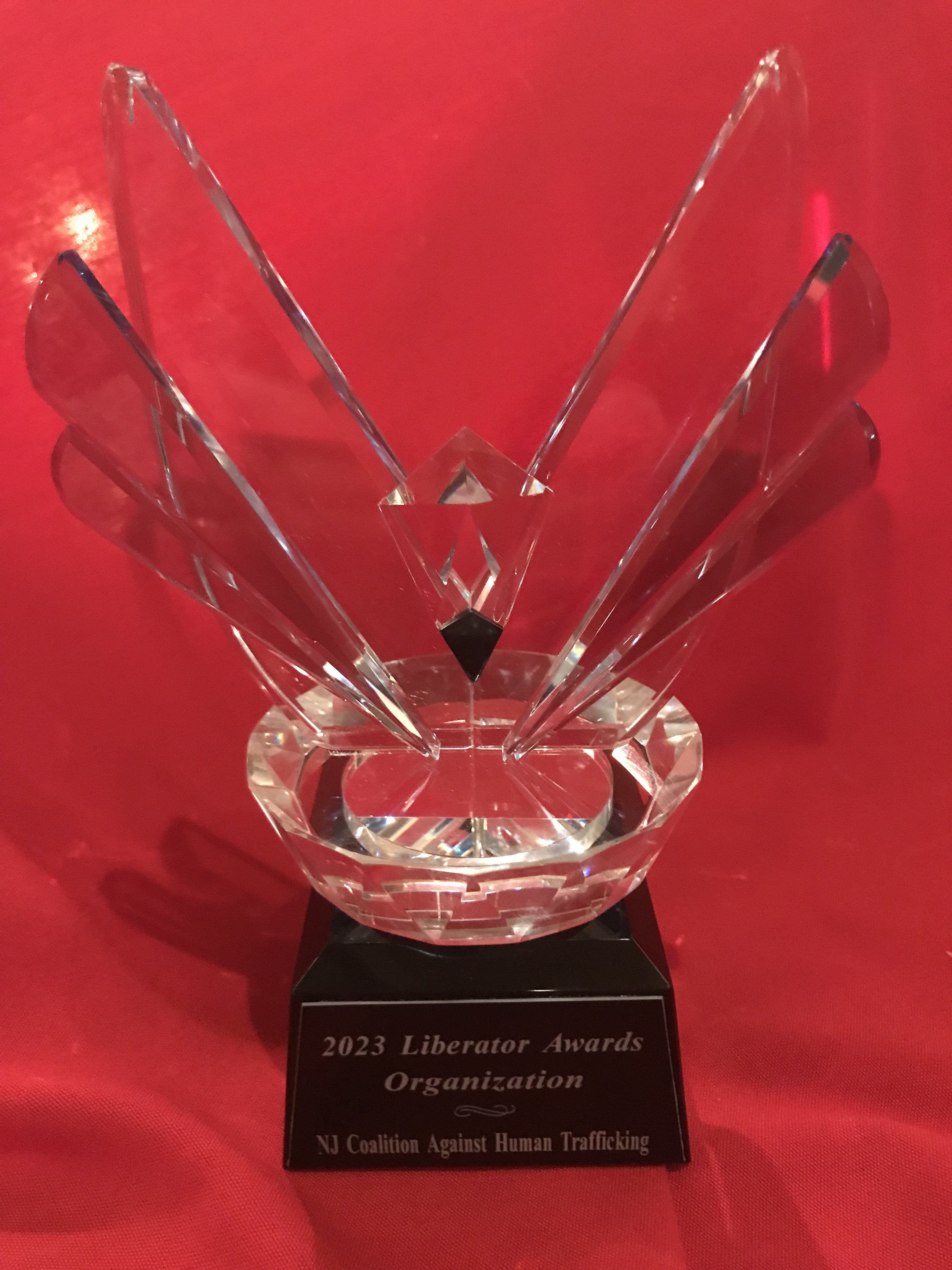 Liberator award image